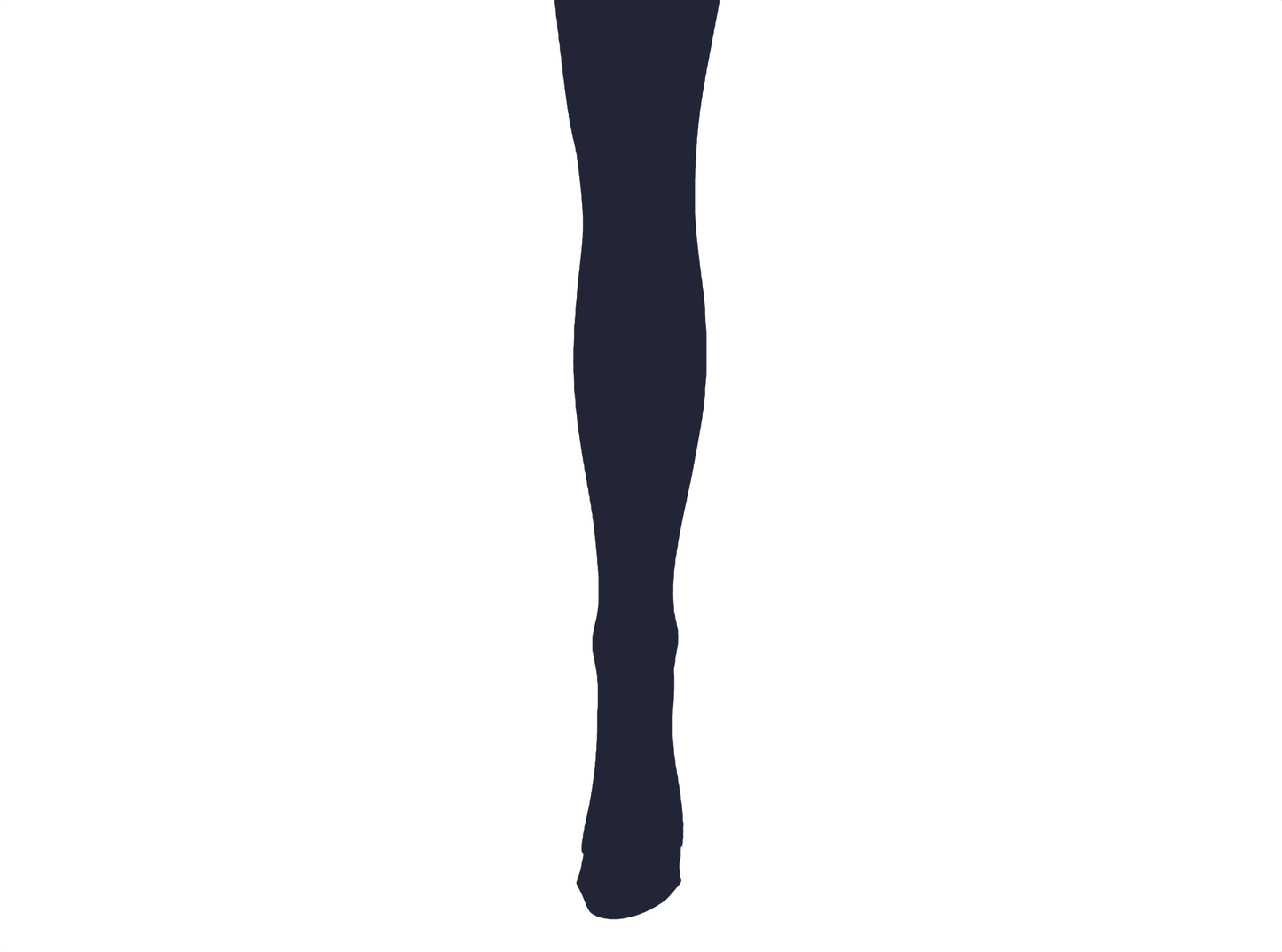 80 Denier Navy Footed Opaque Pantyhose Tights