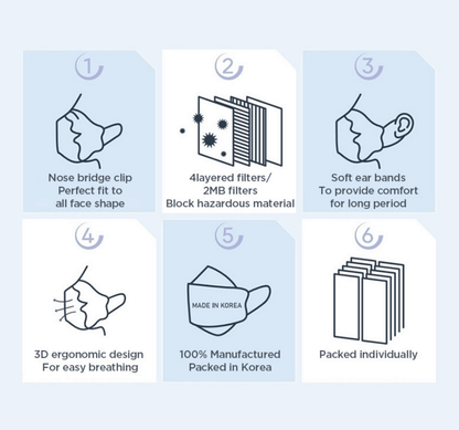 EVERYGUARD KF94 Black Face Mask 10 PCS 